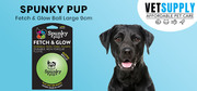 Buy SPUNKY PUP FETCH & GLOW BALL Large (9 cm) 1 Pack Online