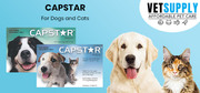 Buy Capstar Flea Treatment Tablets for dogs & cats | VetSupply