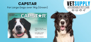 Buy Capstar For Large Dogs over 11Kg (Green) 6 Tablet Online