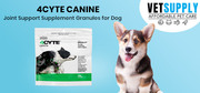 Buy 4CYTE Canine Joint Support Supplement Granules for Dog Online