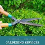 Elevate Your Garden with Expert Hedge Trimming in Sydney