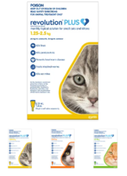 Revolution Plus for Cats - Flea,  Tick & Worming | VetSupply