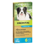 Buy Drontal Wormers Tabs For Dogs 10Kg (Aqua) 6 Tablets Online