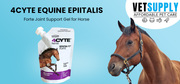 Buy 4CYTE Equine Epiitalis Forte Joint Support Gel for Horse Online
