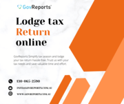 Lodge tax return online for tax practitioners