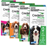 Christmas offer on Credelio Plus for Dogs - Lowest Price Online