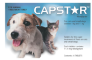 Buy Capstar Flea Treatment for Dogs and Cats Online at VetSupply