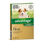 Buy Advantage Flea Control for Cats and Dogs Online | VetSupply