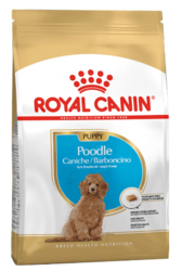 Royal Canin Poodle Puppy Junior Dry Dog Food | VetSupply