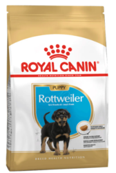 Royal Canin Rottweiler Puppy Dry Dog Food Online | VetSupply