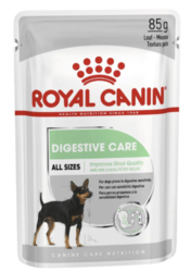 Royal Canin Digestive Care Adult Loaf Pouches Wet Dog Food | VetSupply