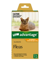 Advantage: Cat & Dog Flea Control | Low Prices - VetSupply