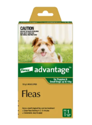 Advantage: Dog & Cat Flea Control | Low Prices