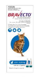 Bravecto spot-on flea and tick treatment for cats