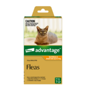 Advantage: Cat & Dog Flea Control