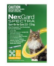 Nexgard Spectra Spot On for Cats | VetSupply