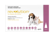 Revolution Flea and Tick Control for Cats | VetSupply