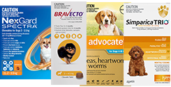 Buy Dog Supplies Online At VetSupply