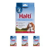 Buy Halti Optifit Headcollar for Dogs Online | VetSupply