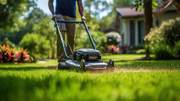 Keep Your Lawn Perfect with NG Lawn Mowing Sydney