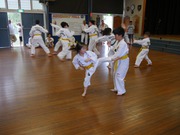 Taekwondo Greenacre Training for Kids and Adults