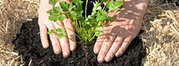 Watch Instructional Videos in Organic Gardening