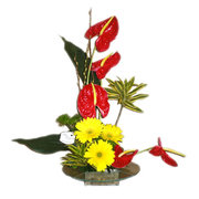 www.expressflowerssaopaulo.com